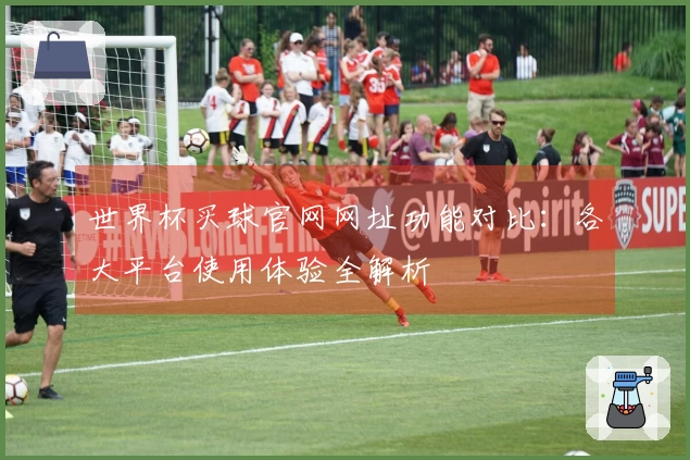 世界杯买球官网网址功能对比：各大平台使用体验全解析