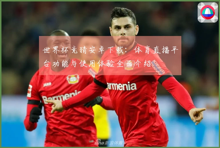 世界杯竞猜安卓下载：体育直播平台功能与使用体验全面介绍