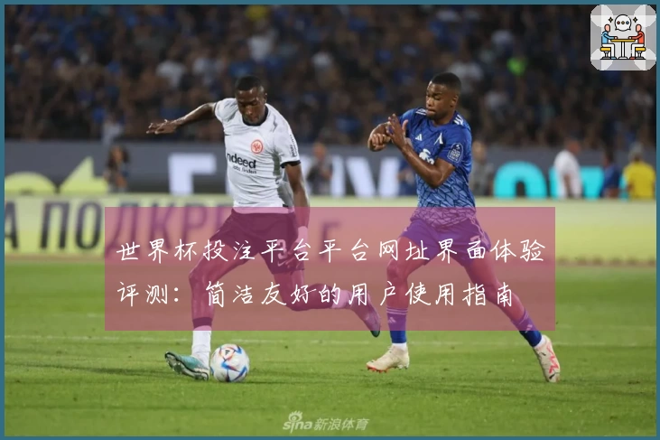 世界杯投注平台平台网址界面体验评测：简洁友好的用户使用指南