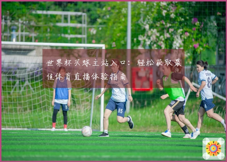 世界杯买球主站入口：轻松获取最佳体育直播体验指南