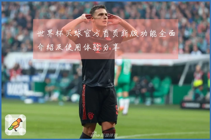 世界杯买球官方首页新版功能全面介绍及使用体验分享